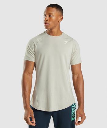Pánské T Shirts Gymshark Bold Šedé | CZ 2405WNB